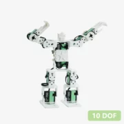 Humanoid Robot (Atom S)