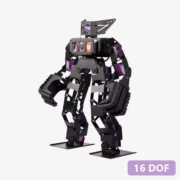 Humanoid Robot (Joe Boxer)